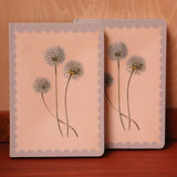 Allium Notebook
