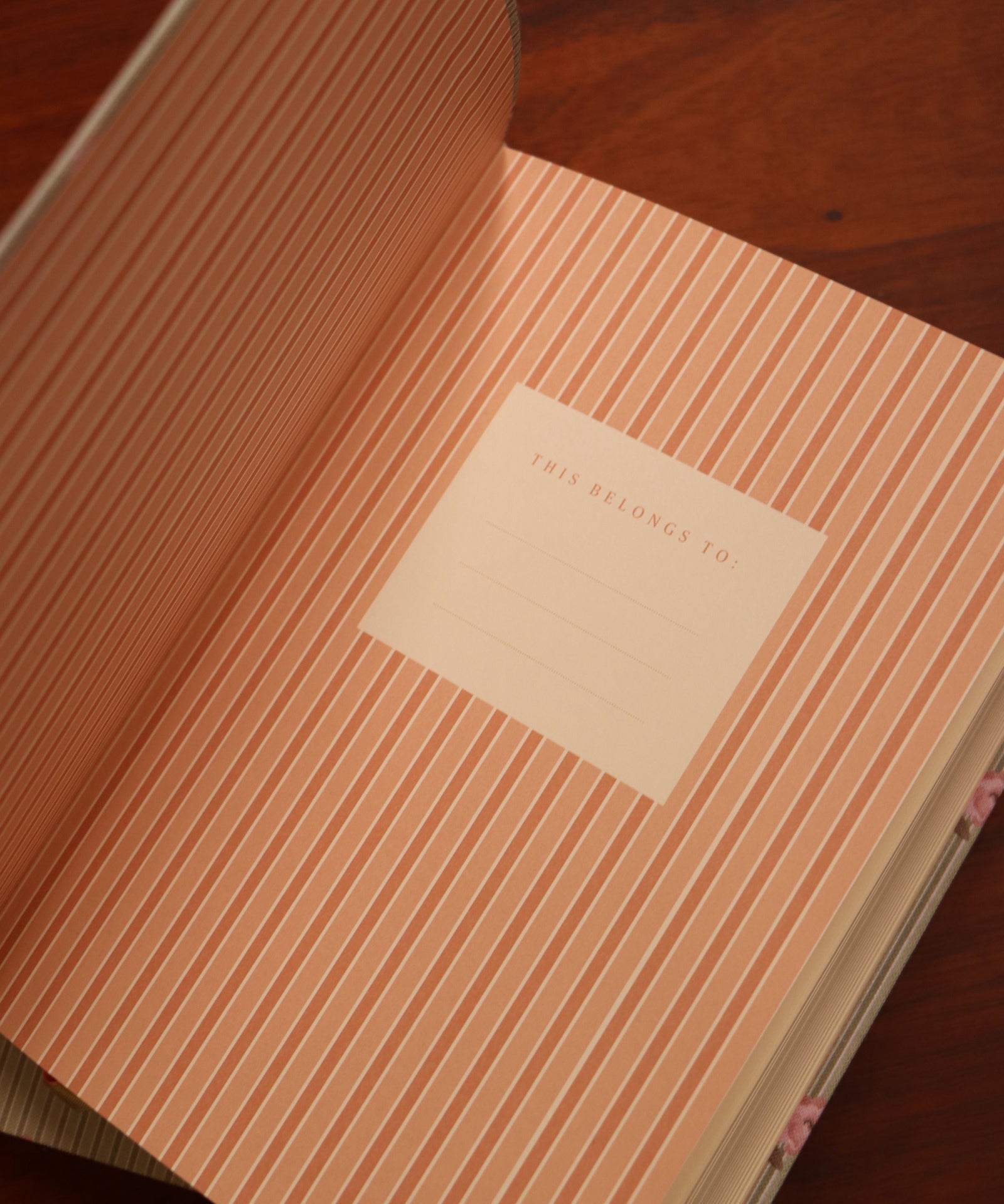 Pink Stripe Floral Daily Planner